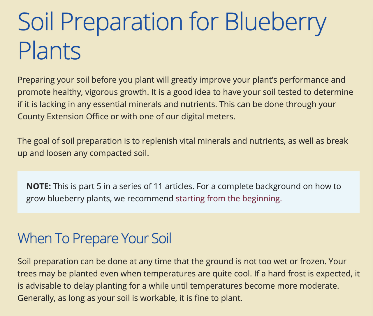 Soil Preparation for Blueberry Plants