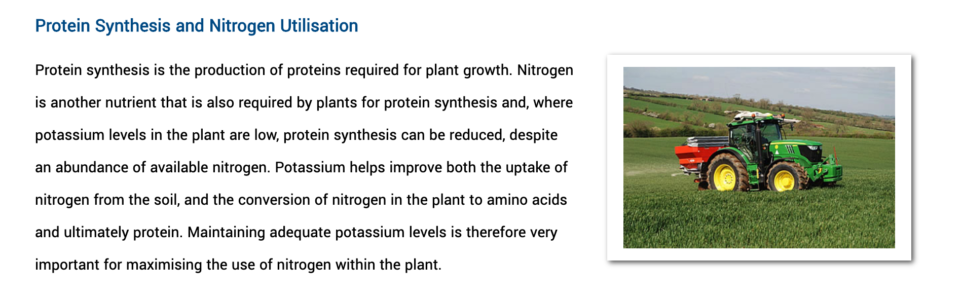 The role of potash in plants