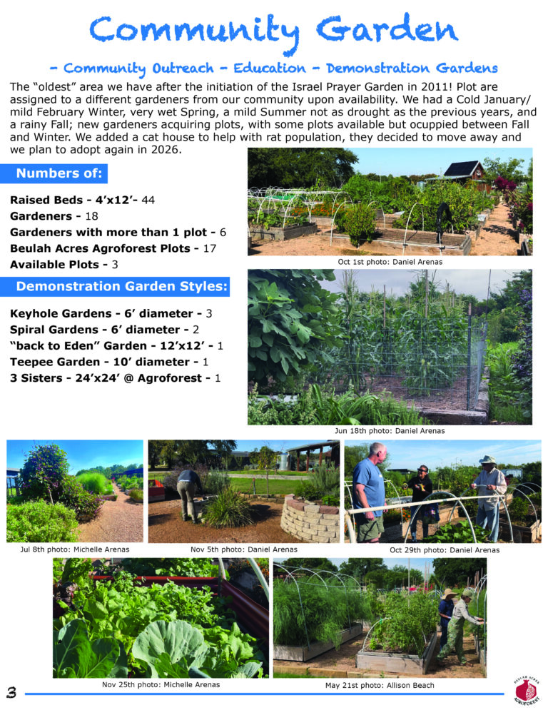 3 COMMUNITY GARDEN 2025 report