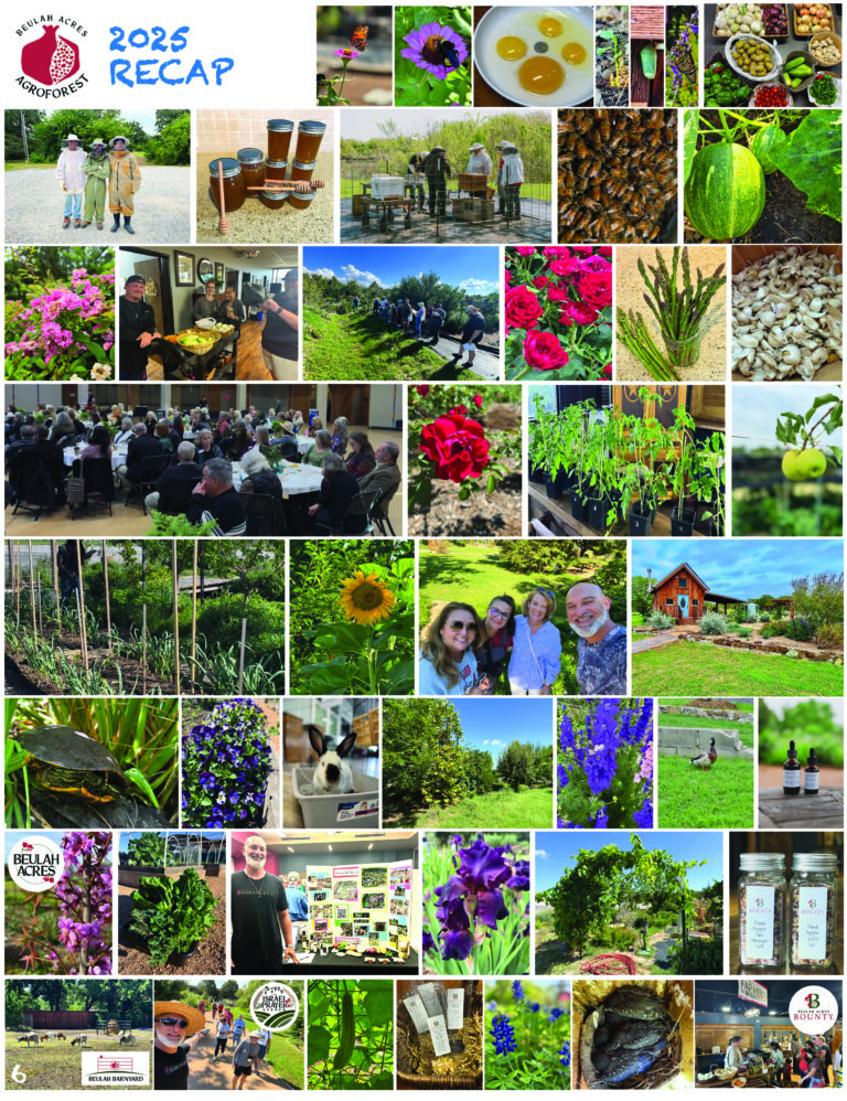 6 progression 2025 report