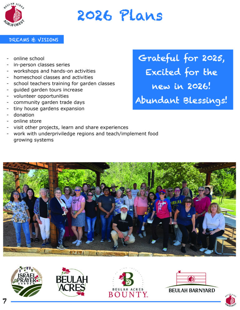 7 26 plans 2025 report